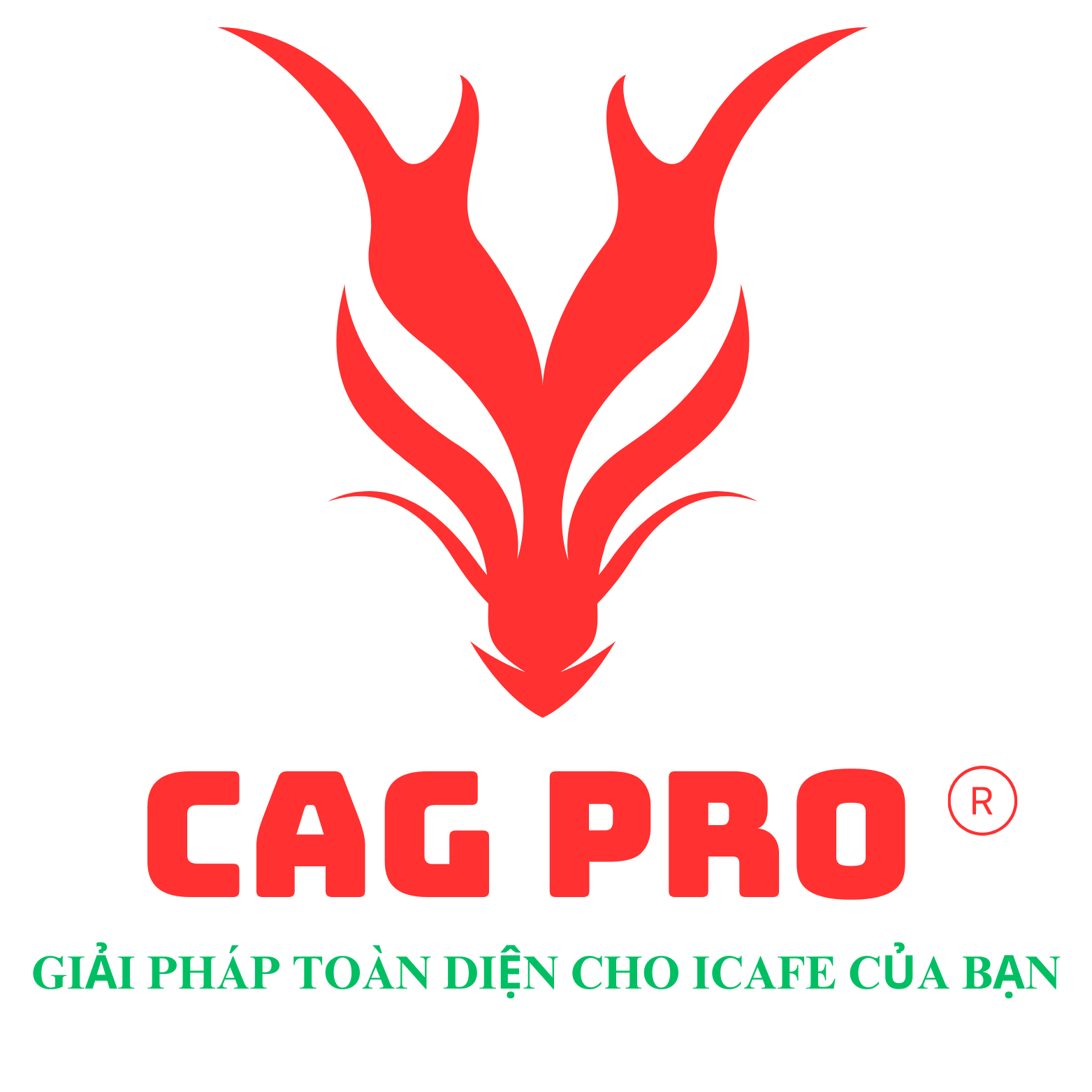 CAG Pro Logo
