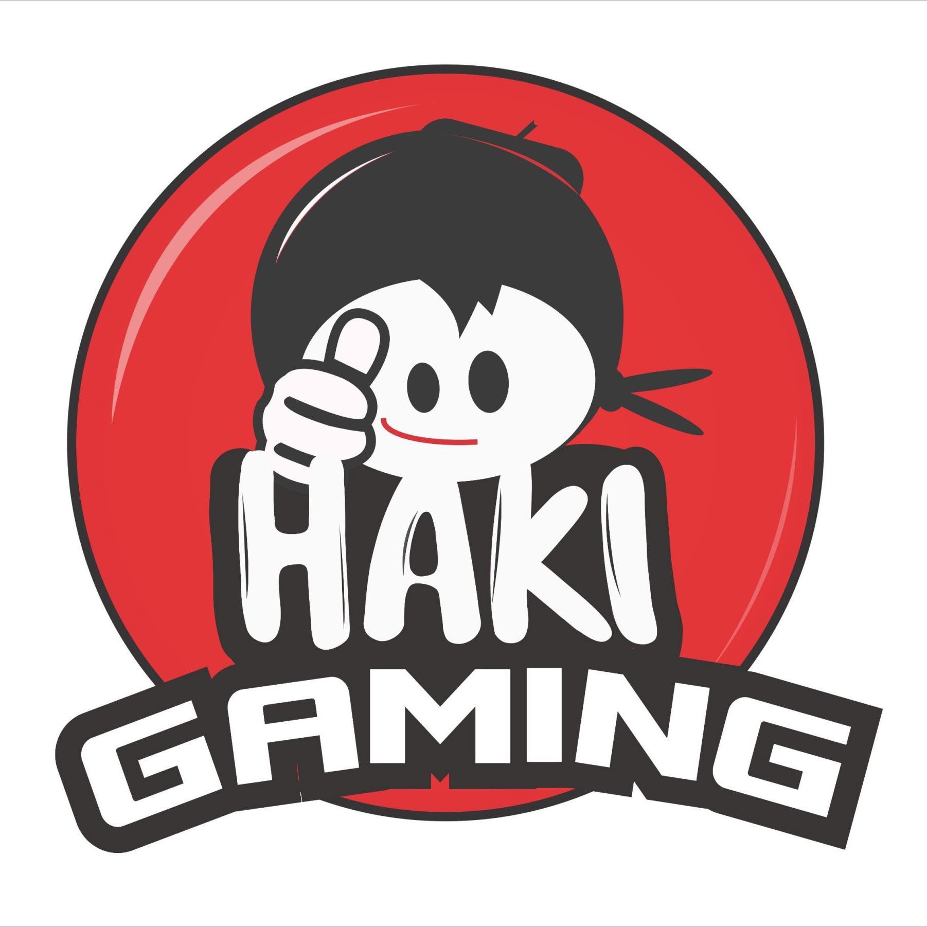 HAKI GAMING