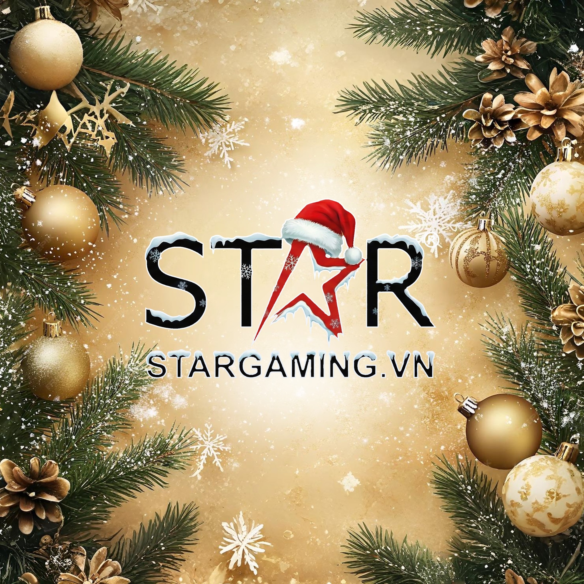 STAR GAMING
